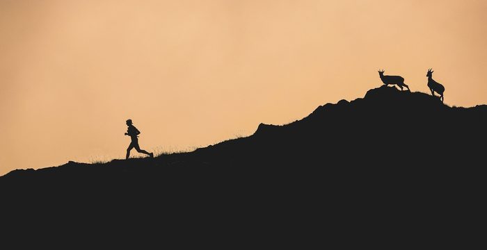 Photo article