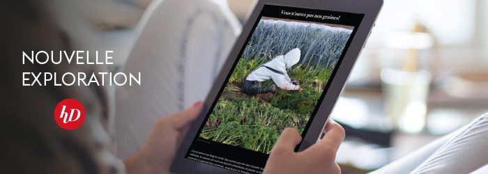 Photo article